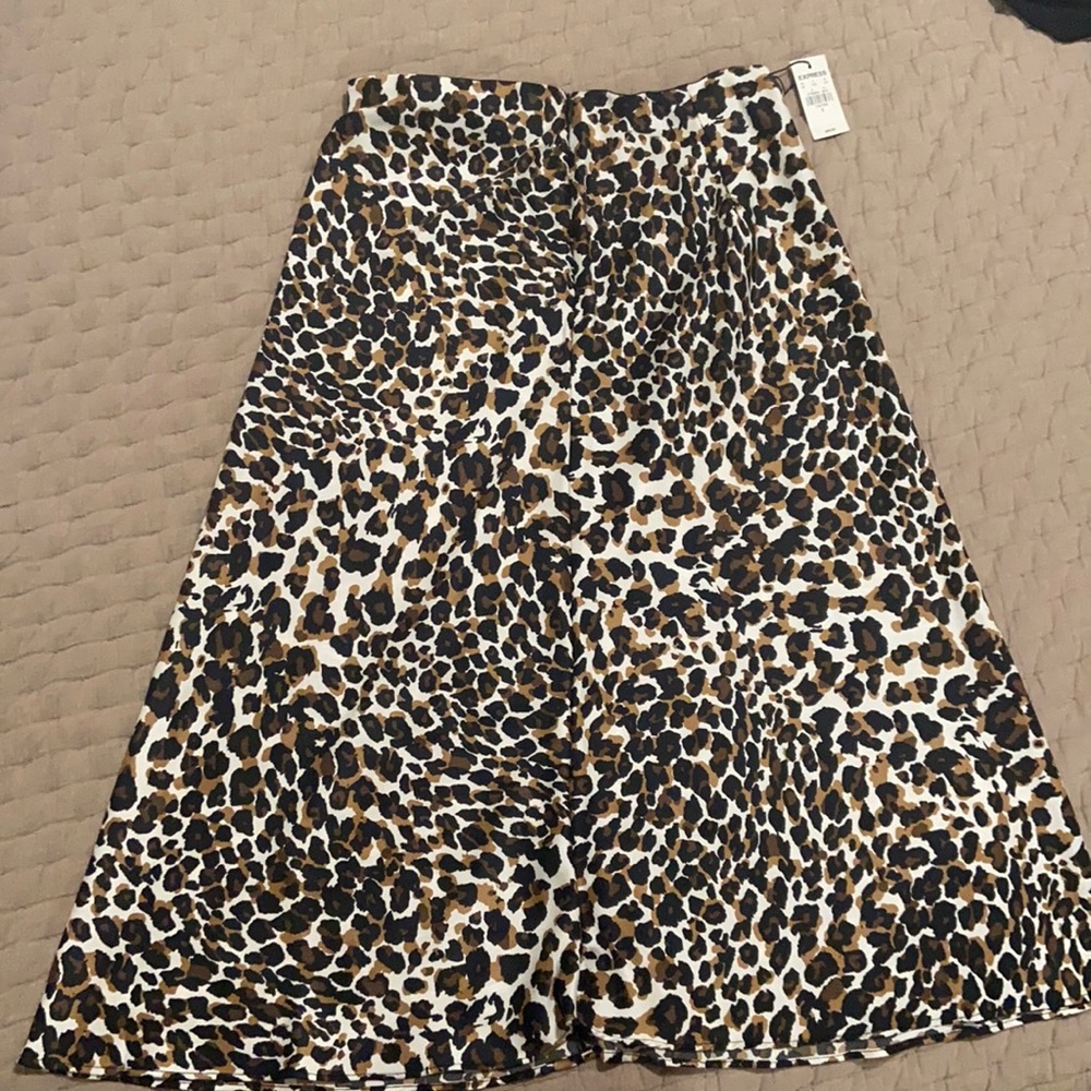 Express skirt